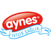 AYNES GIDA